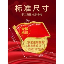 黨徽大磁力